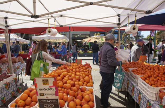 Fresh Finds and Community Vibes: Experience the Campbell Farmers Market!